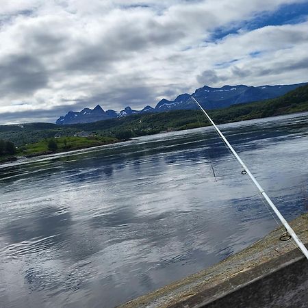 Sokkelleilighet Rett Ved Saltstraumen Bodo Luaran gambar