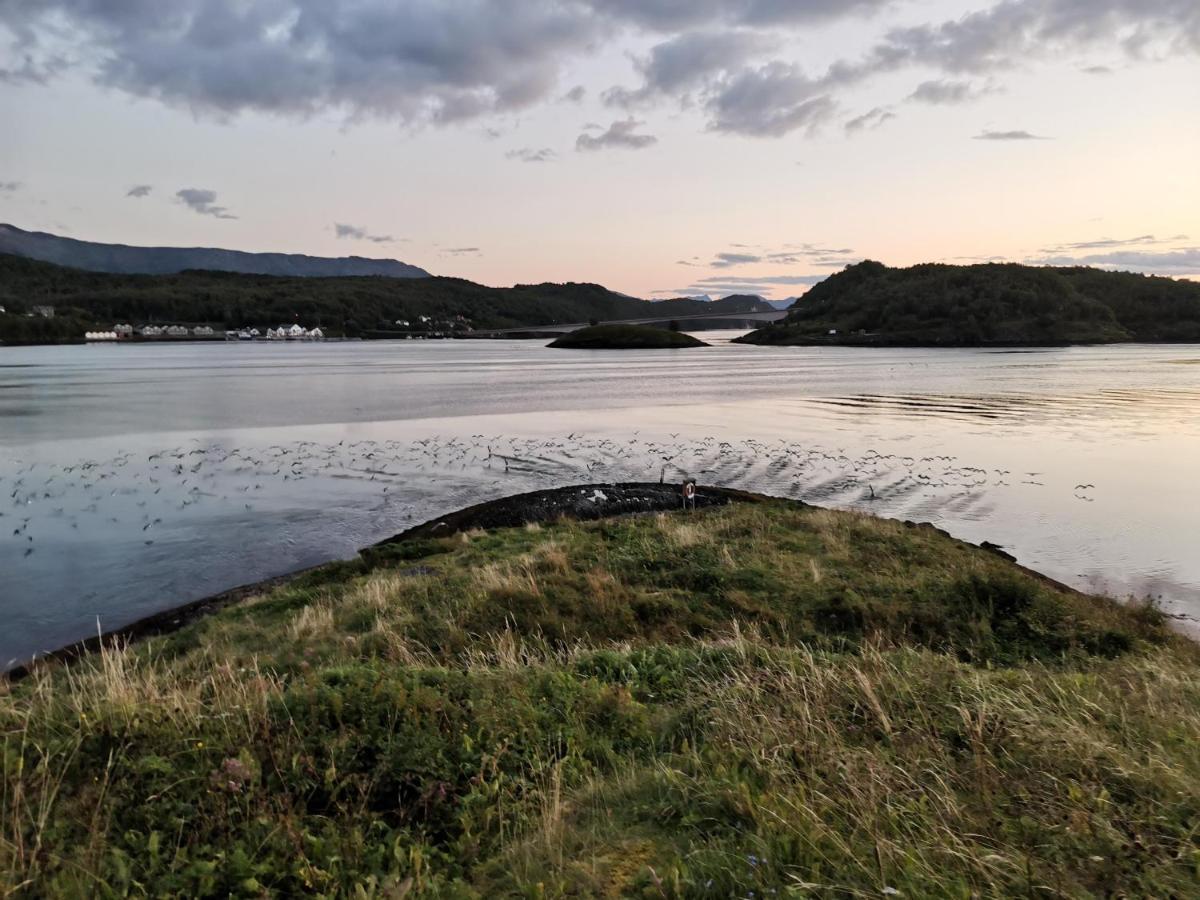 Sokkelleilighet Rett Ved Saltstraumen Bodo Luaran gambar